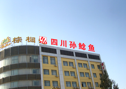 &#20061;&#28216;&#23089;&#20048;