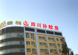&#20061;&#28216;&#23089;&#20048;